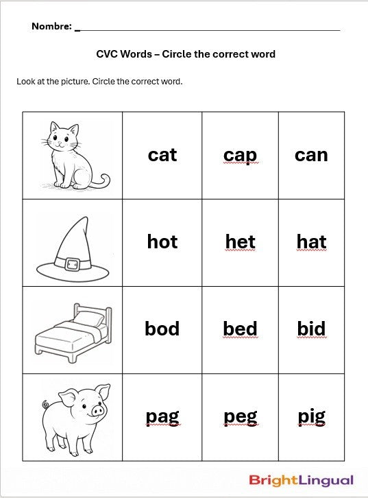 CVC Short Vowels Activities | First Grade Phonics Worksheets | Printable Reading Practice